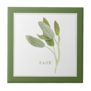 De Cerâmica FRESH SAGE 4.25x4.25 Azulejo cerâmico (+texto) Ver