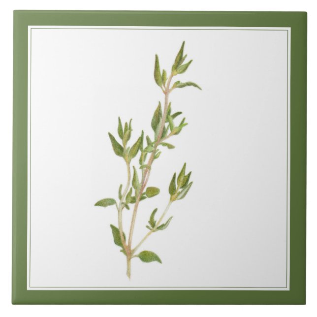 De Cerâmica FRESH THYME 6x6 Azulejo cerâmico (-text) Verde (Frente)