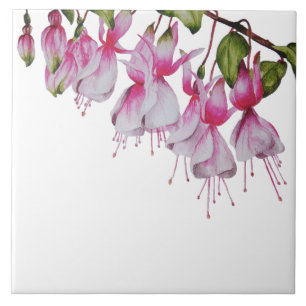 De Cerâmica "Fuchsias Festivas" num Azulejo cerâmico