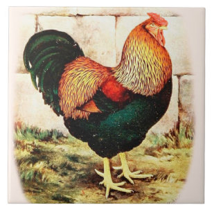 De Cerâmica Galo decorativo do rico do azulejo da parede da