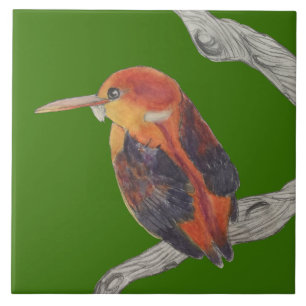 De Cerâmica Gatilho Rufous-Backing em Azulejo Cerâmico
