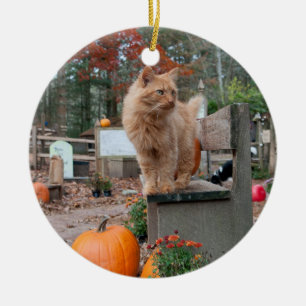De Cerâmica Gato do gengibre e ornamento das abóboras