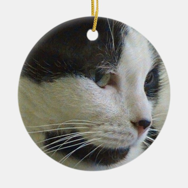 De Cerâmica Gato Preto e Branco Sobre Ornamento Cerâmico (Frente)