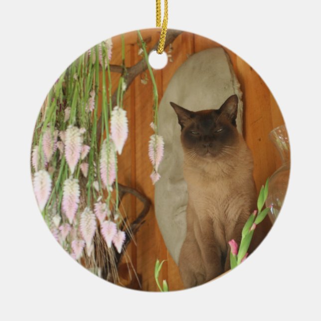 De Cerâmica Gato Siamês Na Prateleira Flores, Ornamento Animal (Frente)