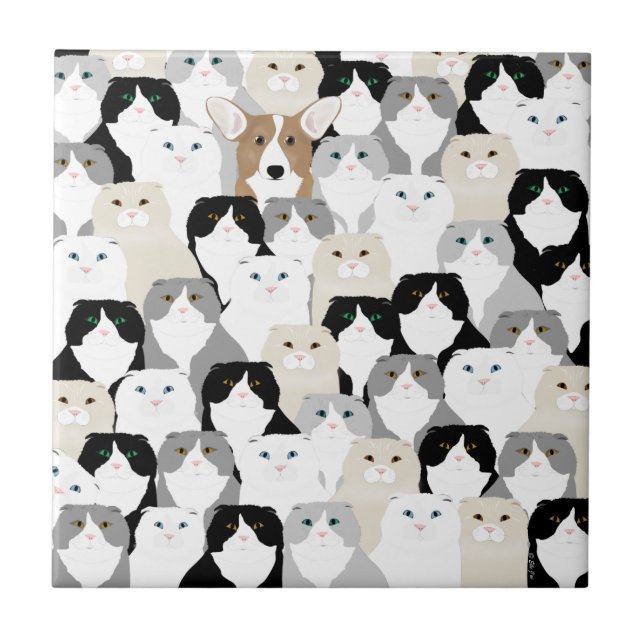De Cerâmica Gatos e Azulejo cerâmico para cães (Frente)