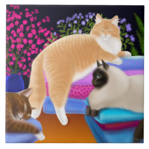 De Cerâmica Gatos que Lounging no azulejo limpo da lavanderia