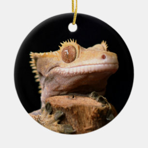 De Cerâmica Gecko Lizard, preso em ornamento cerâmico preto