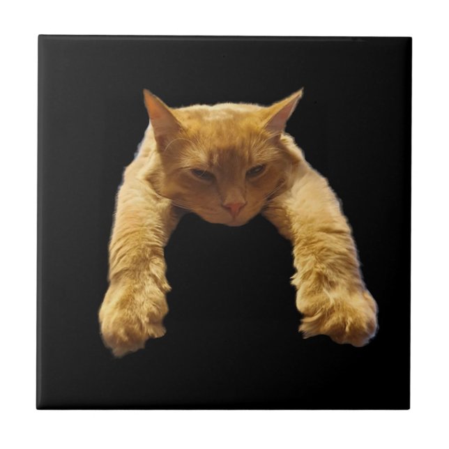 De Cerâmica Ginger Lazy Cat, Azulejo Cerâmico (Frente)