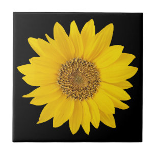 De Cerâmica Girassol Amarelo solteiro no Azulejo Preto Cerâmi