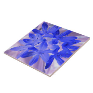 De Cerâmica Glória do Azulejo Azul Chocante da Neve