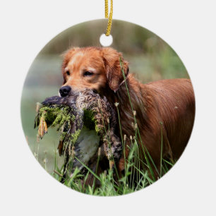 De Cerâmica Golden retriever com ornamento do pato