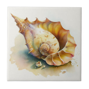 De Cerâmica Haliotis Conch Shell Watercolor Azulejo