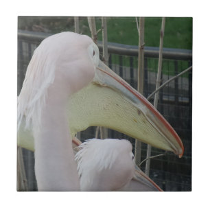 De Cerâmica Heron Small (4,25" x 4,25") Azulejo fotográfico c