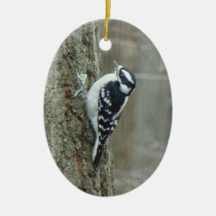 De Cerâmica Homem Downy do pica-pau & ornamento fêmea