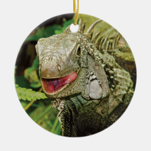 De Cerâmica Iguanas que penduram ornamento do presente