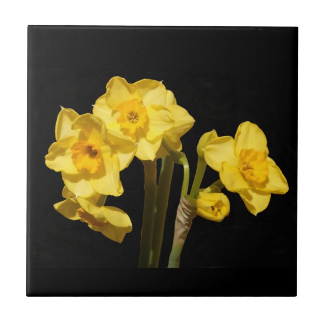De Cerâmica Jonquil floresce o azulejo (Frente)