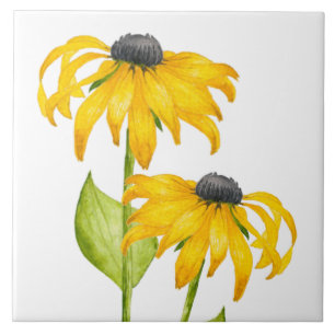 De Cerâmica Joyful Summer em um Azulejo cerâmico