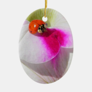 De Cerâmica Ladybug na petúnia - ornamento