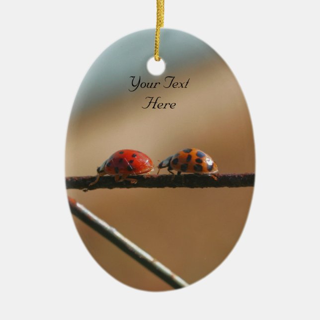 De Cerâmica Ladybugs Seguem Ornamento da Natureza Cuta Líder (Frente)