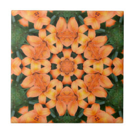 De Cerâmica Laranja Floral Mosaico - Padrão Cerâmico Azulejo