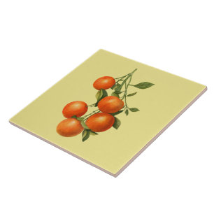 De Cerâmica Laranjas ~ Azulejo Botânico ~ Cozinha ~ Qualquer C
