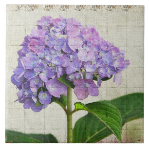 De Cerâmica Lavanda Hydrangea Azulejo