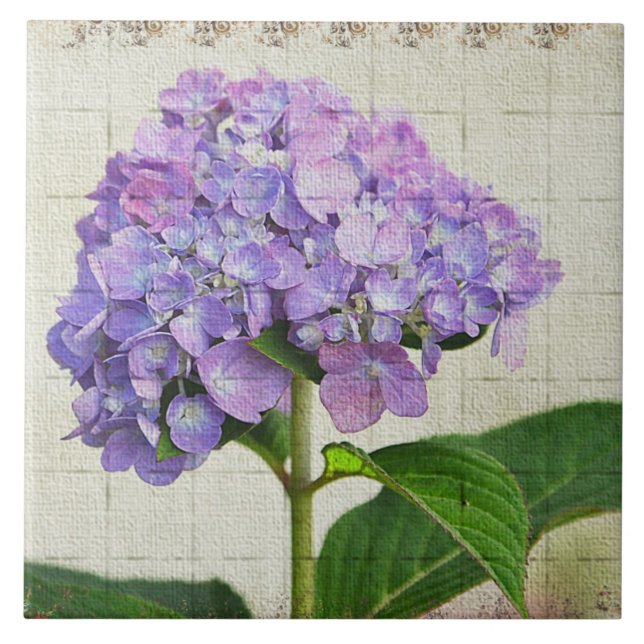 De Cerâmica Lavanda Hydrangea Azulejo (Frente)