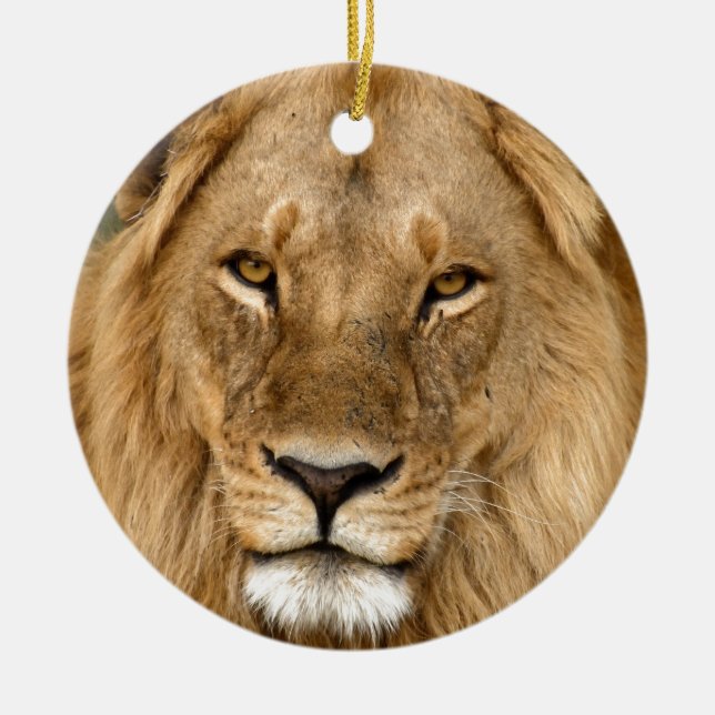 De Cerâmica Leão Com Excelente, Ornamento Cerâmico (Frente)