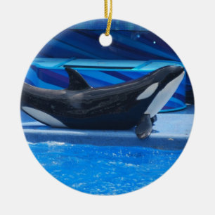 De Cerâmica Levantando o ornamento da orca