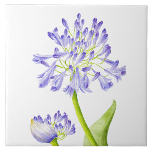 De Cerâmica Lily do Nilo num Azulejo cerâmico
