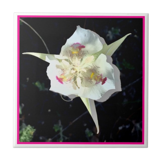 De Cerâmica Lily Fairy Azulejo Rosa (Frente)