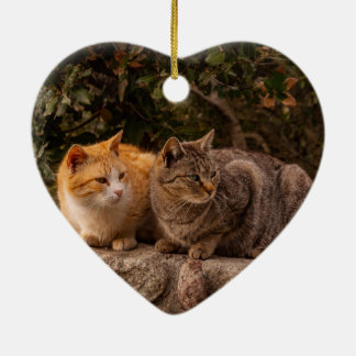 De Cerâmica Lindos Gatos, Ornamento