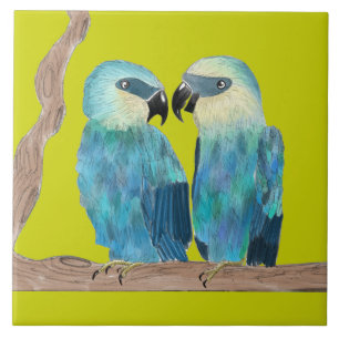 De Cerâmica Macaws Spix em um Azulejo cerâmico - (G)