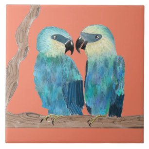 De Cerâmica Macaws Spix em um Azulejo cerâmico - (O)