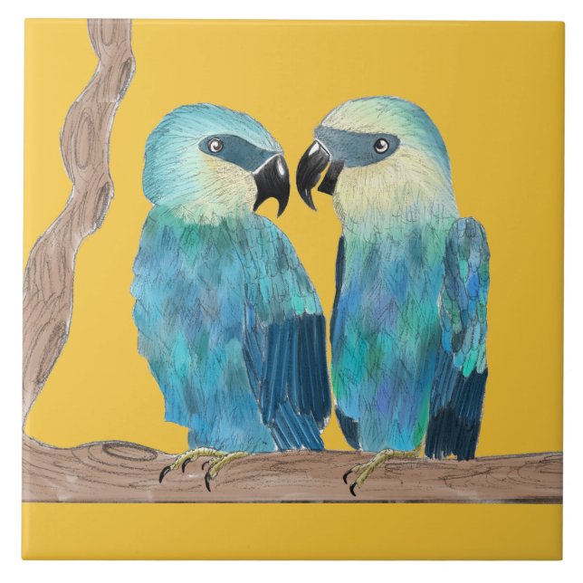 De Cerâmica Macaws Spix em um Azulejo cerâmico - (Y) (Frente)