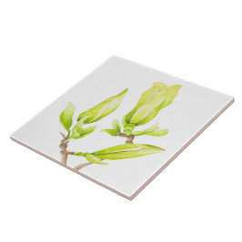 De Cerâmica Magnolias amarelas em um Azulejo cerâmico (2 W)