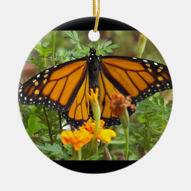 De Cerâmica Meu ornamento Monarch Butterfly (Frente)