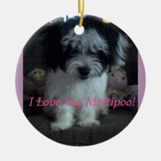 De Cerâmica Mim Lovee meu Maltipoo! Ornamento