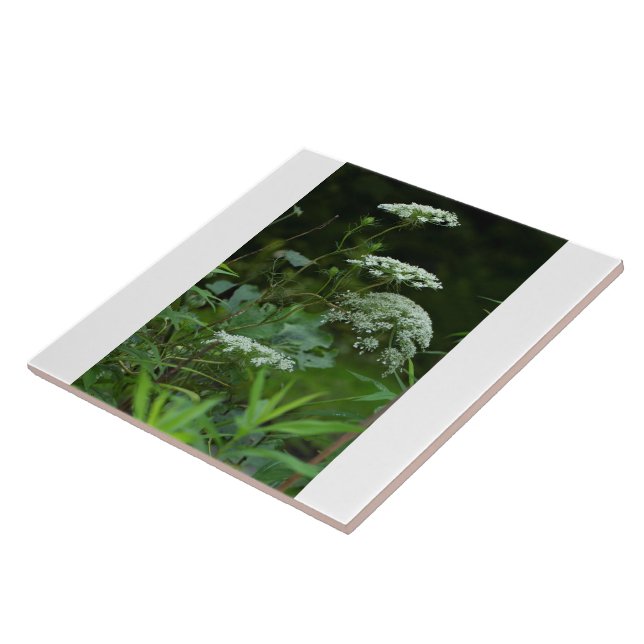 De Cerâmica modelo azulejo (Lateral)