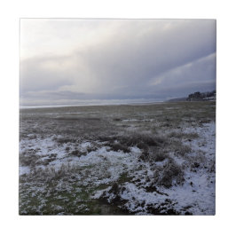 De Cerâmica Neve Através Do Azulejo Cerâmico Da Baía