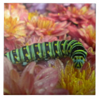 Nosy Caterillar Azulejo Trivet