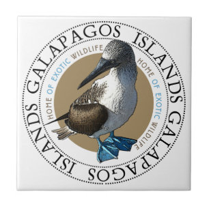 De Cerâmica O azul pagou o azulejo do Booby