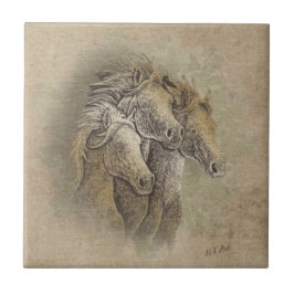 De Cerâmica O Azulejo cerâmico dos cavalos
