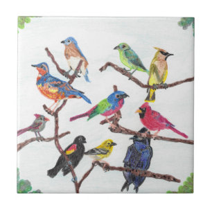 De Cerâmica O azulejo colorido das aves canoras do