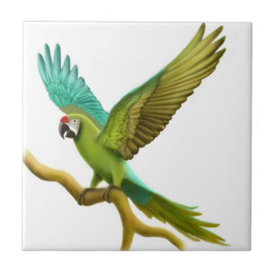 De Cerâmica O azulejo militar do papagaio do Macaw