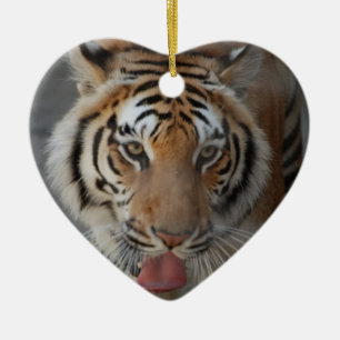 De Cerâmica O tigre beija o ornamento