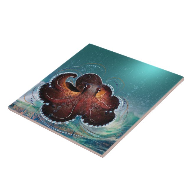 De Cerâmica OCTOPUS - Azulejo cerâmico (Lateral)