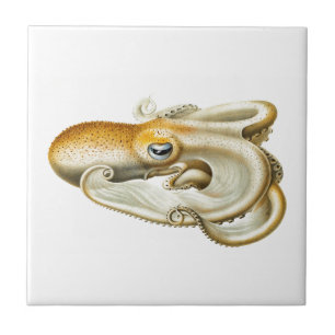 DE CERÂMICA "OCTOPUS" SEALIFE AZULEJO CERÂMICO