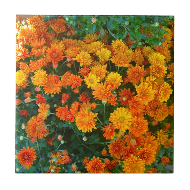 De Cerâmica Orange Margarita Daisy Azulejo (Frente)