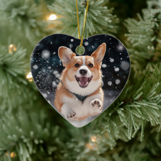 De Cerâmica Ornamento